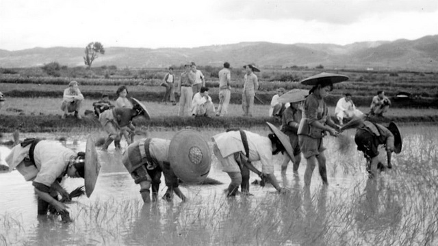 图片[17]-Old photos of Lu Liang in Qujing, 1943-1945-China Archive