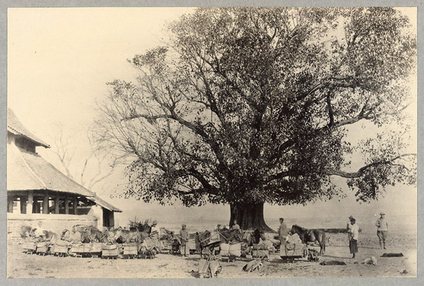 图片[11]-The old photo of Simao, Yunnan in 1922 was taken by Locke-China Archive