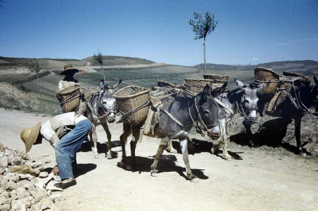 图片[3]-Old photos of Changshou Mountain in Baoji in 1941-China Archive