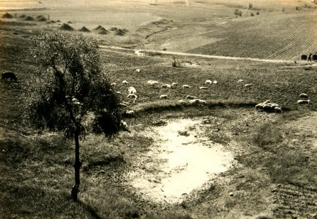 图片[11]-Old photos of Qinhuangdao in 1929-China Archive