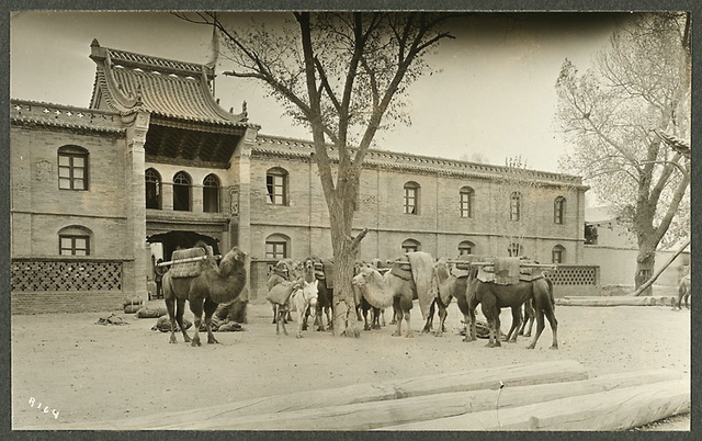 图片[16]-An old photo of Gansu in 1925 A hundred years ago, the style and features of Zhuoni Huangyuan in Dangchang, Lanzhou-China Archive