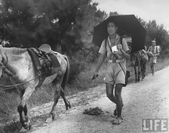 图片[7]-Old photos of Guilin in August 1945-China Archive