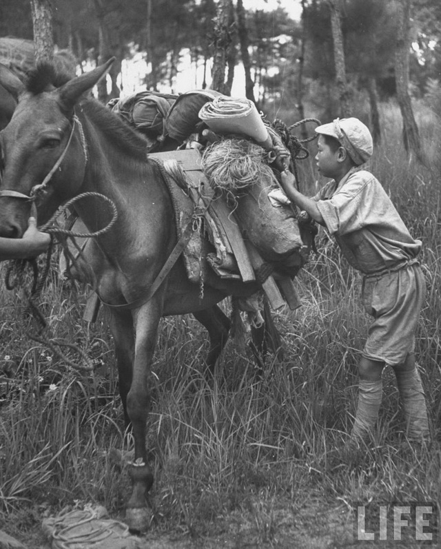 图片[12]-Old photos of Guilin in August 1945-China Archive