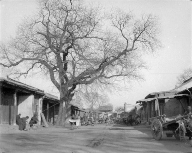 图片[17]-43 old photos of Ding County, Hebei in 1931-China Archive