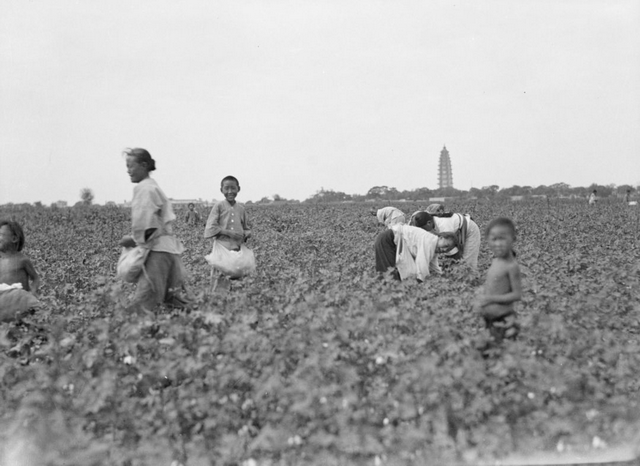 图片[29]-43 old photos of Ding County, Hebei in 1931-China Archive