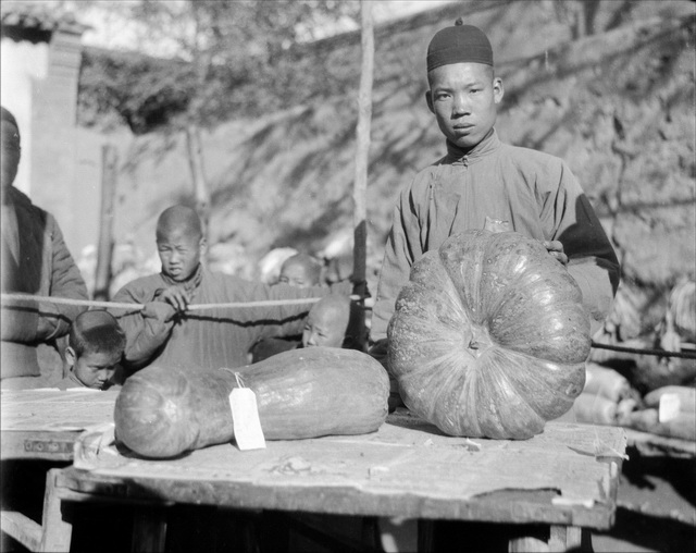 图片[35]-43 old photos of Ding County, Hebei in 1931-China Archive