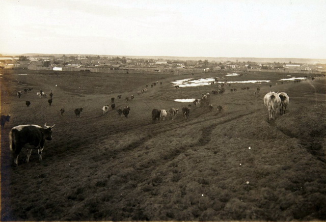 图片[9]-Old photos of Hailar, Inner Mongolia in 1935-China Archive