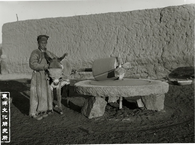 图片[3]-Old photos of Balin Right Banner in Inner Mongolia in 1920s, the style and features of grassland people 100 years ago-China Archive