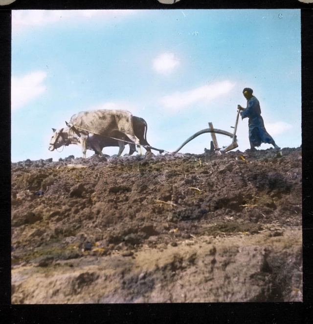 图片[14]-Old photos of Shimenkan, Guizhou in 1949-China Archive