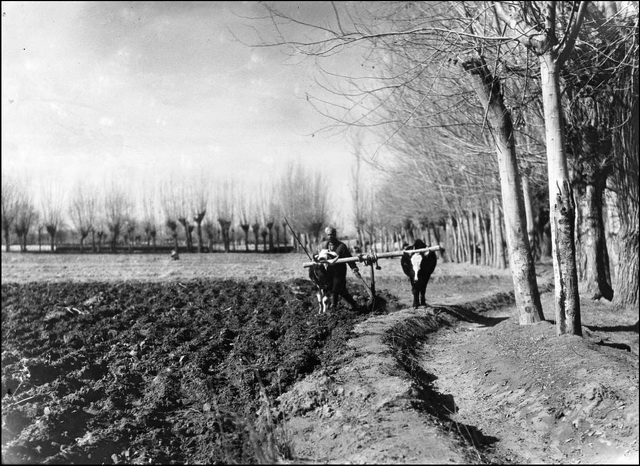 图片[15]-Old photos of Shache County, Kashgar, Xinjiang in 1927-China Archive