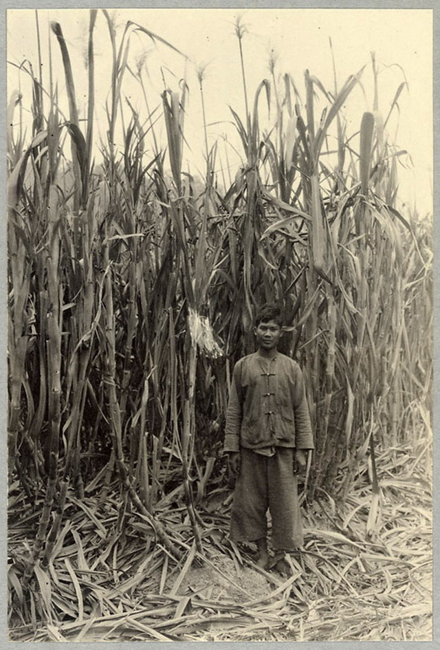 图片[9]-The old photo of Simao in Yunnan in 1922, a hundred years ago-China Archive