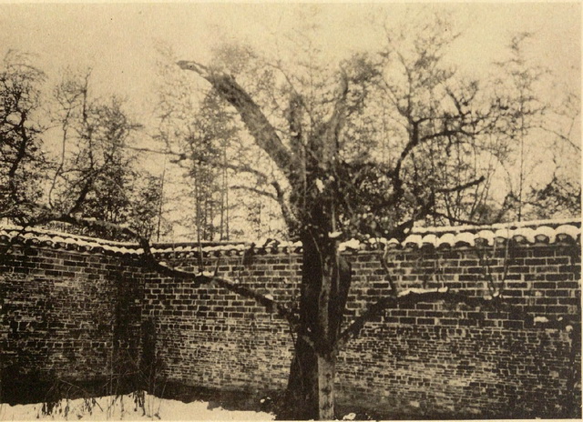 图片[15]-The old photo of Jurong, Jiangsu in 1906 The beautiful scenery of Maoshan Temple buildings a hundred years ago-China Archive