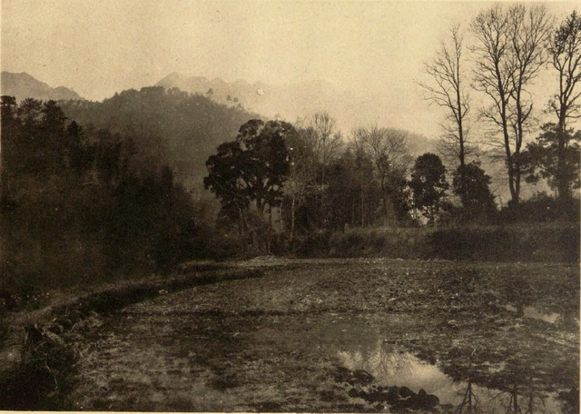 图片[9]-1918 Old photo of Ningxiang, Hunan Province One hundred years ago, the ruins of Tongqing Temple, Miyin Temple, Weishan Mountain-China Archive