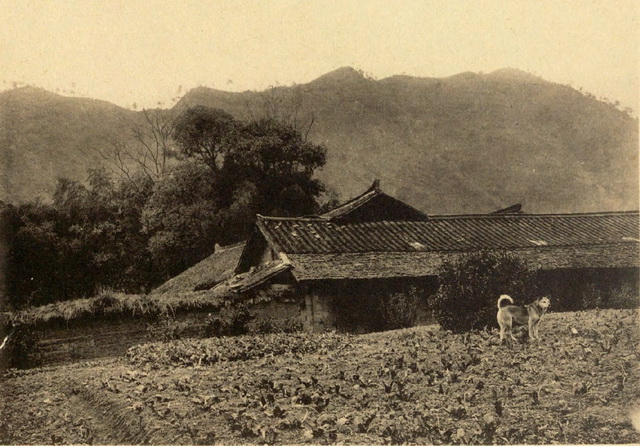 图片[13]-1918 Old photo of Ningxiang, Hunan Province One hundred years ago, the ruins of Tongqing Temple, Miyin Temple, Weishan Mountain-China Archive