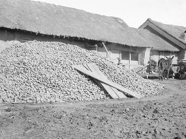 图片[3]-The old photo of Hulan, Heilongjiang in 1931 was taken by Pendleton-China Archive