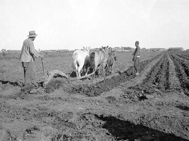 图片[9]-The old photo of Hulan, Heilongjiang in 1931 was taken by Pendleton-China Archive