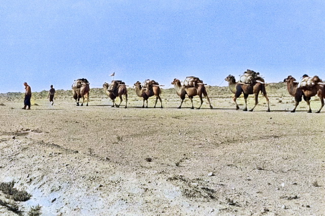 图片[7]-The old photo of Gansu in 1943, the majesty of Jiayuguan, the street view of Dunhuang and Yumen-China Archive