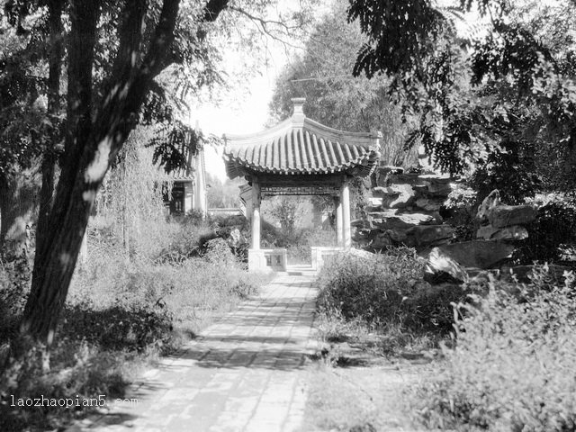图片[9]-Old photos of Yanjing University in 1931-China Archive