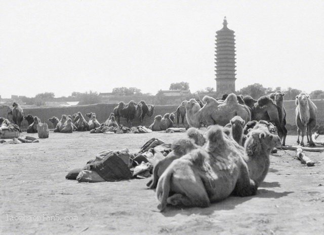 图片[1]-Old photo of Dingxian County, Hebei Province, 1917-China Archive