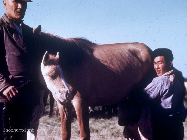 图片[2]-Old photos of Ordos, Inner Mongolia, 1944-China Archive