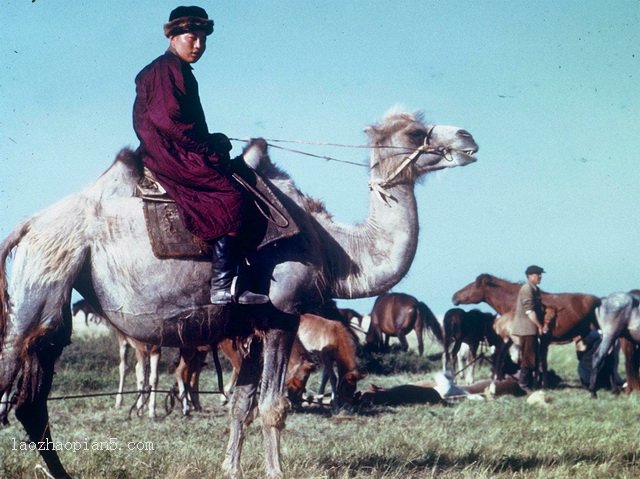 Old photos of Ordos, Inner Mongolia, 1944-China Archive