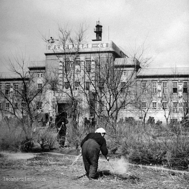 图片[5]-Old photos of Shenyang, Liaoning in 1946-China Archive
