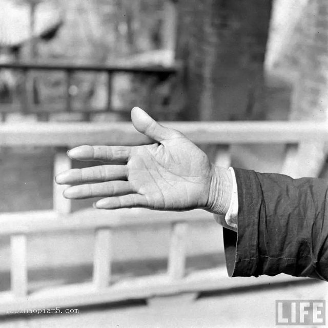 图片[9]-Picture taken on the spot of a fortune teller in Lintong, Shaanxi in 1947-China Archive