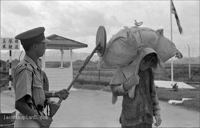 图片[5]-Records of Hong Kong people’s work and life under British rule in 1949-China Archive