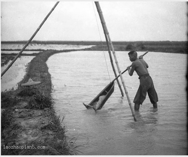 图片[5]-The old photo of Guangdong Haikang in 1932. The street view and cultural style of Haikang 90 years ago-China Archive