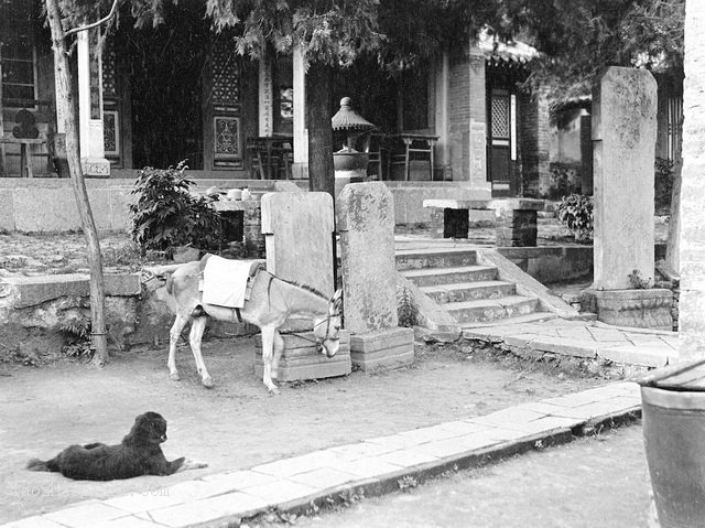 图片[3]-The old photo of Beiniuding and Shanhaiguan in Qinhuangdao, Hebei in 1917-China Archive