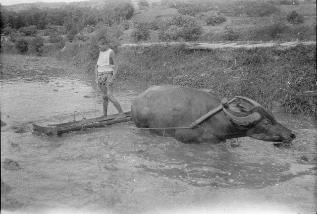 图片[14]-The old photos of Suining, Sichuan in 1917. Suining City and its cultural features a hundred years ago-China Archive