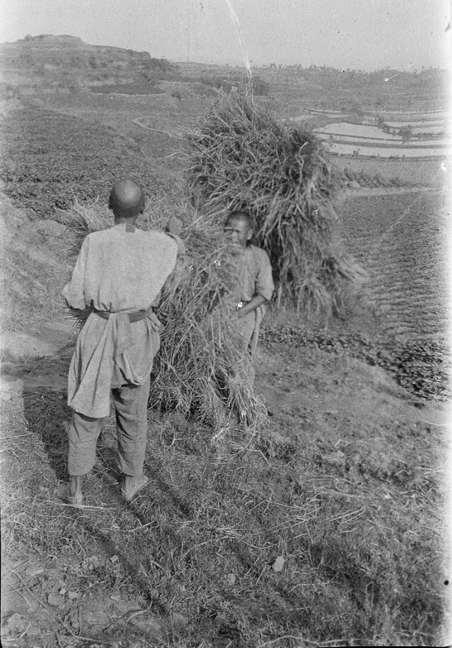 图片[23]-The old photos of Suining, Sichuan in 1917. Suining City and its cultural features a hundred years ago-China Archive