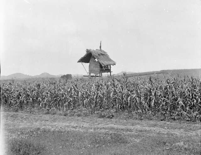 图片[13]-The old photos of Dazhou, Sichuan in 1917. Urban and rural areas and cultural features of Dazhou a hundred years ago-China Archive