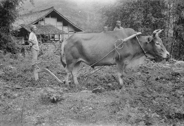 图片[25]-53 old photos of Anxian County, Sichuan Province in 1917-China Archive