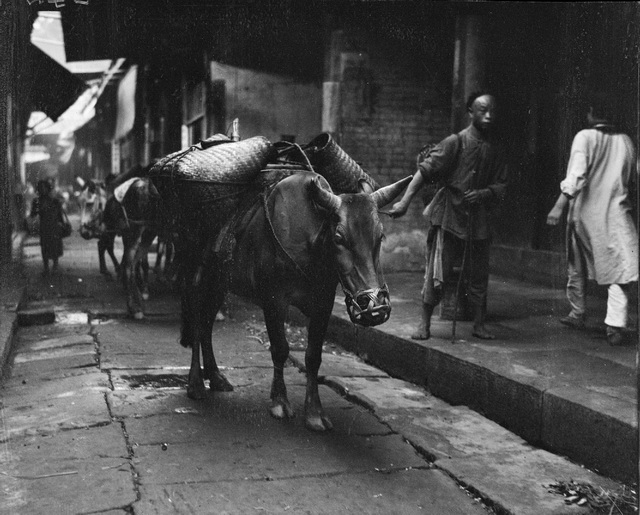 图片[27]-31 old photos of Tongliang County, Chongqing in 1917-China Archive