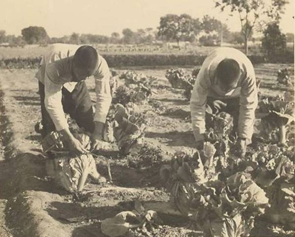 图片[9]-1940 Old photo of Baoding, Hebei, taken by Heda Morrison-China Archive