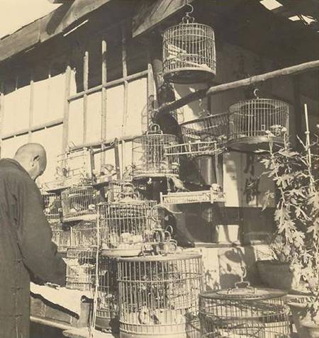 图片[46]-1940 Old photo of Baoding, Hebei, taken by Heda Morrison-China Archive