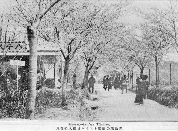 图片[29]-Old photos of Qingdao in 1914 The landscape of Qingdao in the Japanese German War-China Archive