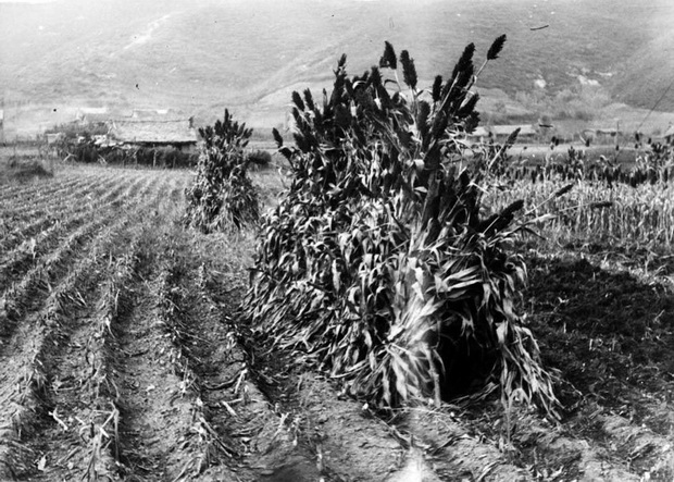 图片[12]-Old Photos of Fushun, Liaoning in 1938: A Look at the Life Style of Northeast People in the Period of Manchukuo-China Archive