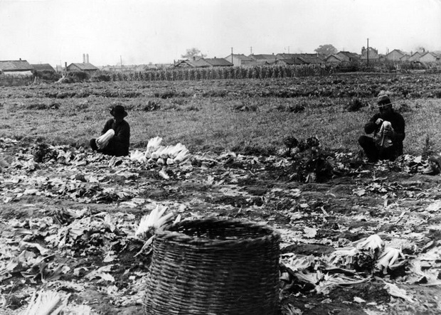 图片[16]-Old Photos of Fushun, Liaoning in 1938: A Look at the Life Style of Northeast People in the Period of Manchukuo-China Archive