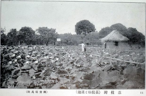 图片[6]-The old photos of Guangzhou a hundred years ago Shamian, Lizhiwan, the Thirteen Elements and the Five Immortals-China Archive