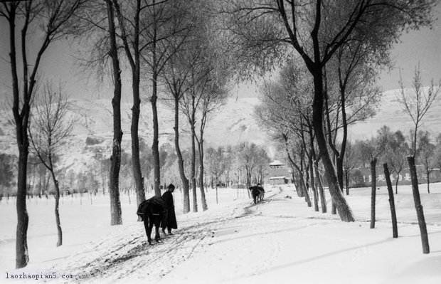 图片[3]-Old photos of Lintao, Gansu in the 1930s Rural scenery and Yongning floating bridge-China Archive