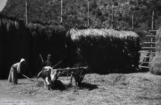 图片[10]-The old photos of Lintan, Gansu in the 1940s-China Archive