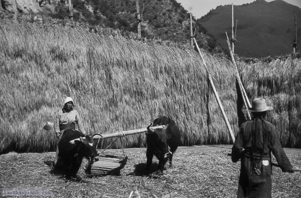 图片[9]-The old photos of Lintan, Gansu in the 1940s-China Archive