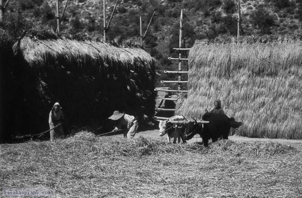 图片[12]-The old photos of Lintan, Gansu in the 1940s-China Archive