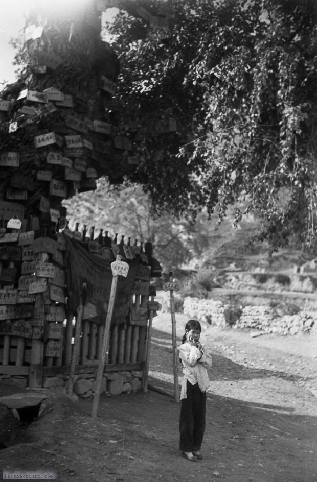 图片[7]-The old photos of Lintan, Gansu in the 1940s-China Archive