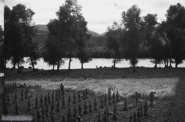 图片[2]-The old photos of Lintan, Gansu in the 1940s-China Archive