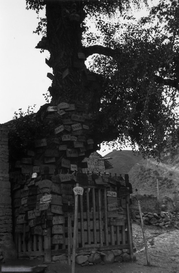 图片[6]-The old photos of Lintan, Gansu in the 1940s-China Archive