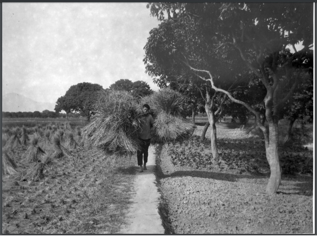 图片[3]-The old photos of Fuzhou, Fujian in 1923. The ancient city of Gutian, Xichan Temple and Gushan Mountain 100 years ago-China Archive