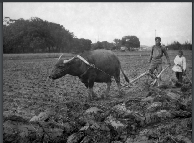 图片[5]-The old photos of Fuzhou, Fujian in 1923. The ancient city of Gutian, Xichan Temple and Gushan Mountain 100 years ago-China Archive